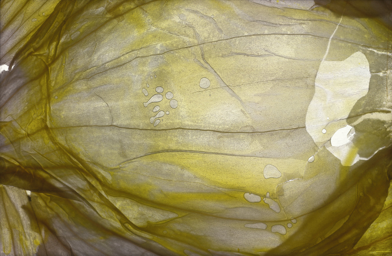 ©2024 Vivienne Boucherat