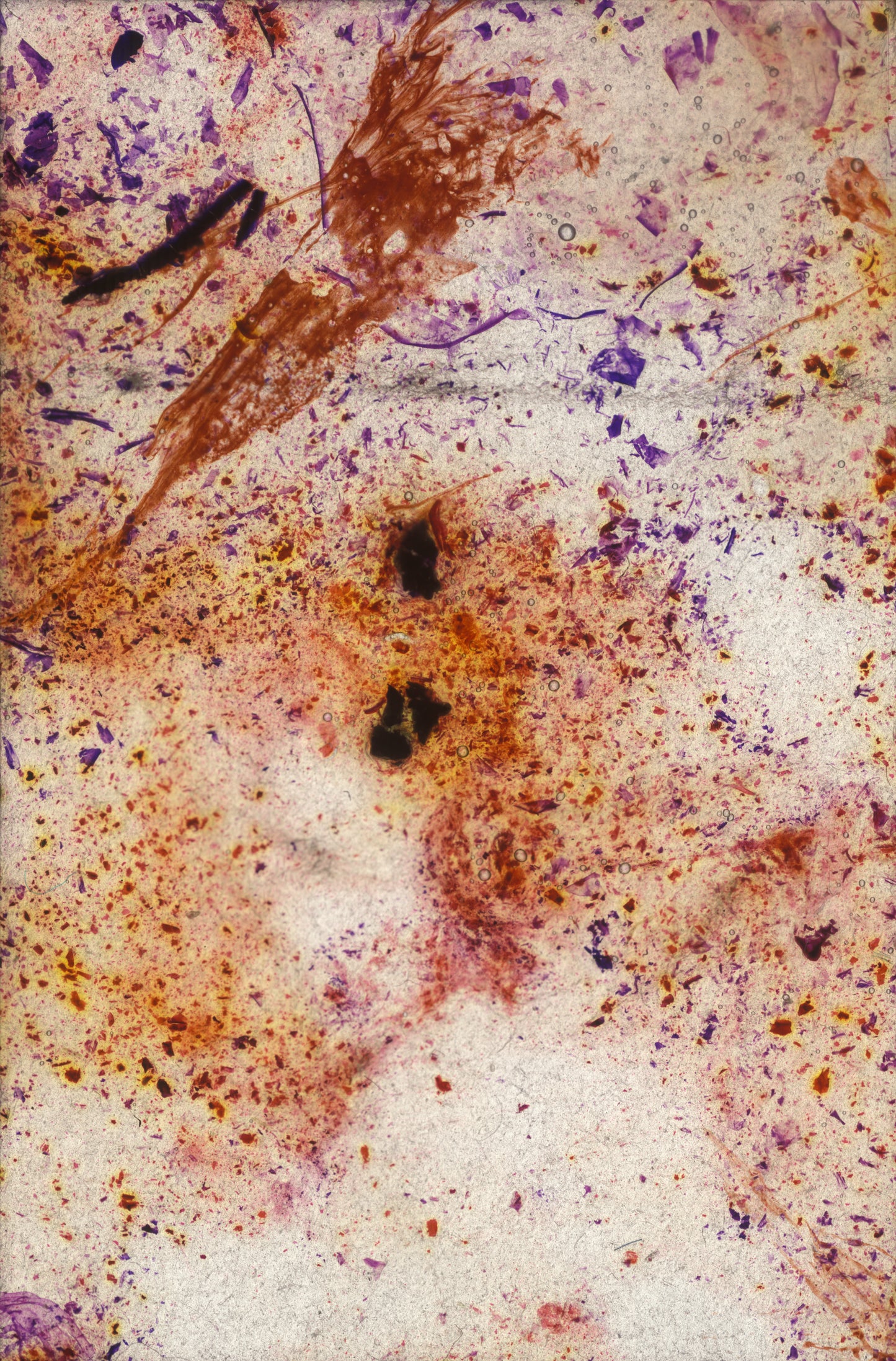 © 2024 Vivienne Boucherat